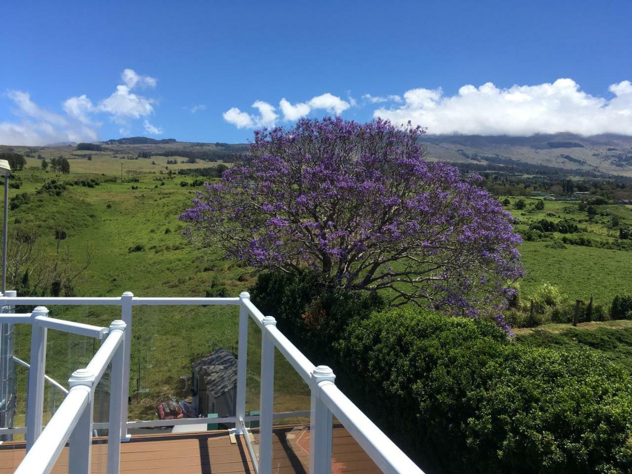 Bed and Breakfast Ha'Le Kiana Kula Exterior foto