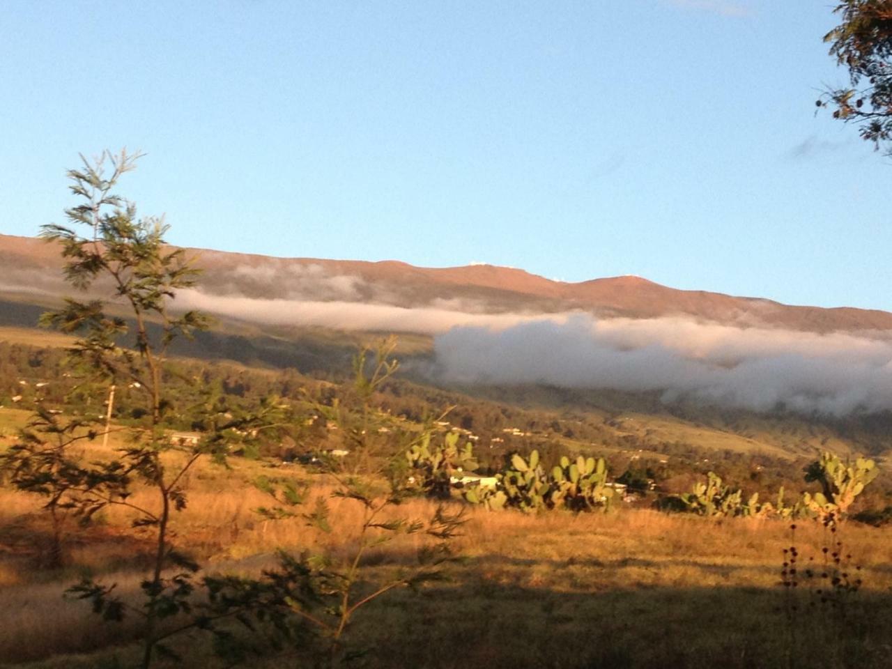 Bed and Breakfast Ha'Le Kiana Kula Exterior foto